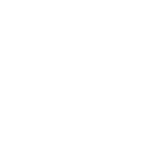 Retina